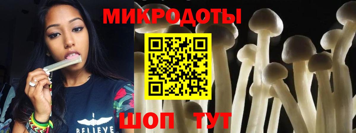 Галлюциногенные грибы Cubensis Кохма